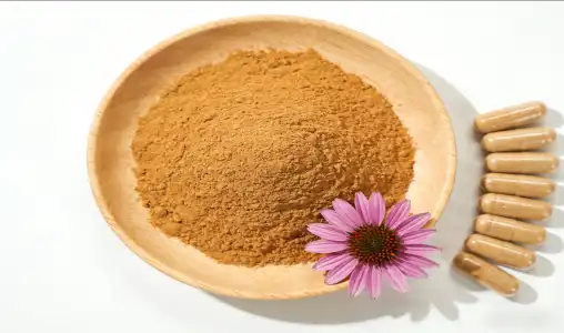 Echinacea Extract Powder vs Vitamin C for Colds